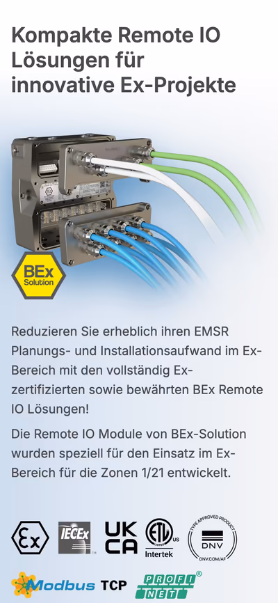 BEx-Solution
